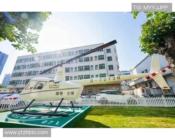 深圳排球队的战术创新与运营体系探讨 深圳排球队的战术创新与运营体系探讨