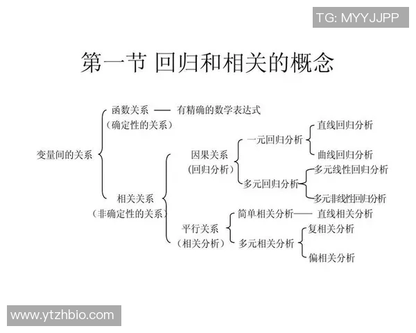 世界足球明星的文化素养探讨与职业生涯的关系分析 世界足球明星的文化素养探讨与职业生涯的关系分析