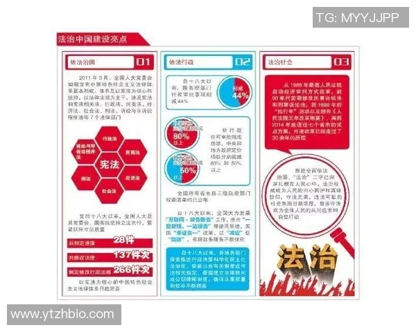 利姓足球明星的辉煌历程与成就解析