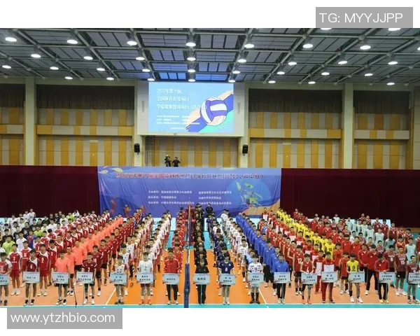 南京排球队防反策略分析与比赛表现评估