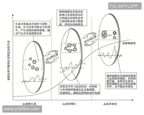 惩罚足球明星的有效策略与方法探讨及其对职业生涯的影响分析