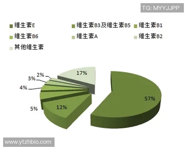 武汉足球队个人能力分析与表现评估研究报告