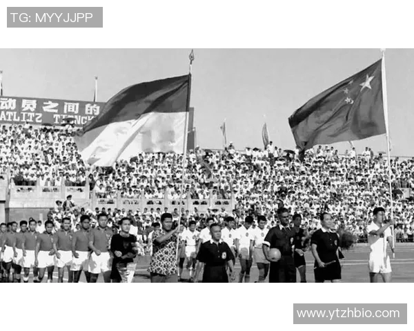 广州羽毛球队在世界杯中的团队协作表现分析与启示